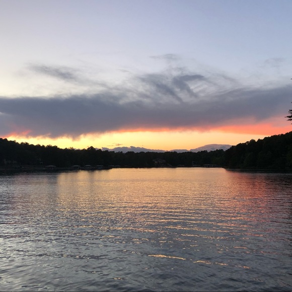 Meet your Posher, Ava - Picture 1 of 1